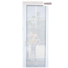 glass bathroom door